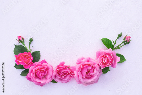 rose flowers and green leaves on a pink background. Springtime composition. copy space.