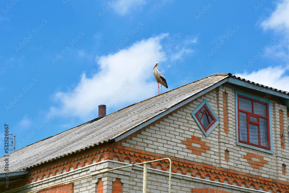 a stork stands on the roof of a rural house in Ukraine a stork stands on the roof of a rural house in Ukraine