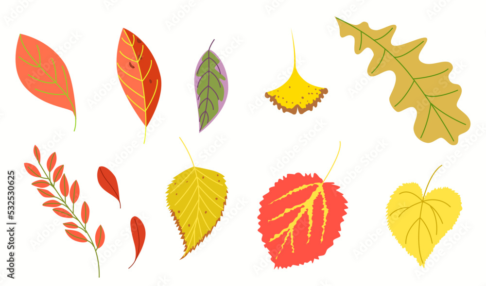 A large set of foliage. A group of autumn vector illustrations in a flat style. A large set of foliage. A group of autumn vector illustrations in a flat style.