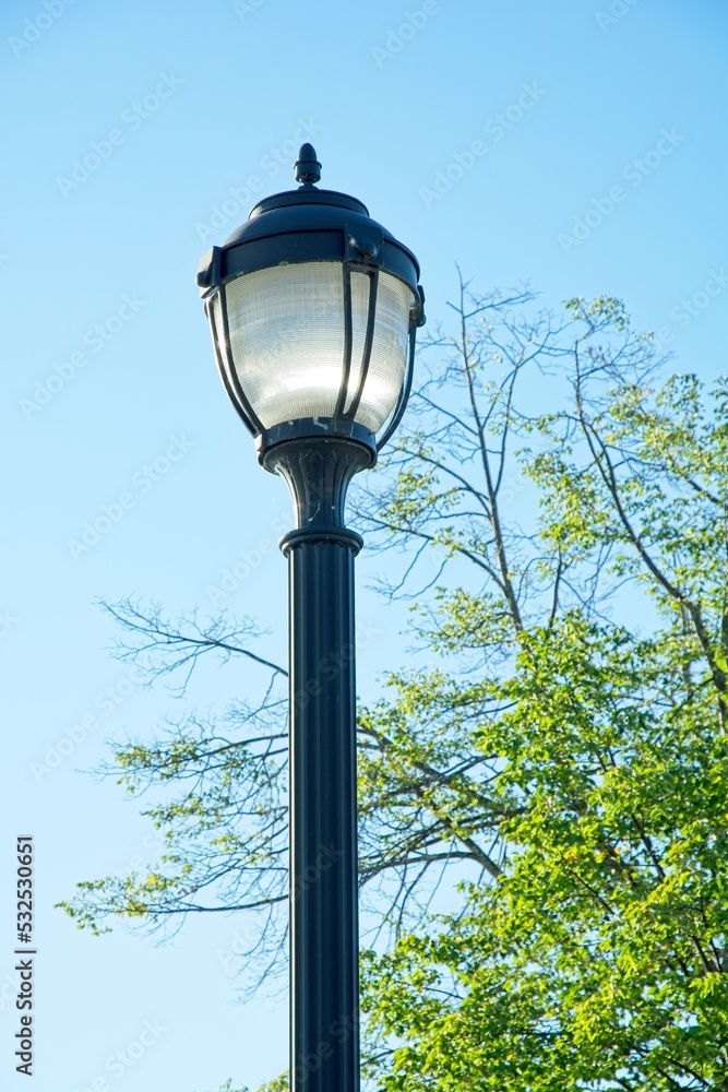 street light with specular reflections before tree limbs clear blue sky