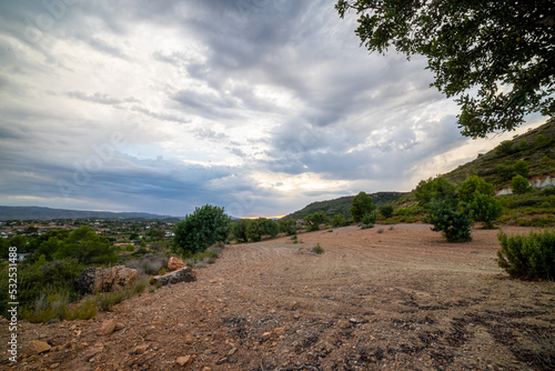 Sunset from a field of carob trees.