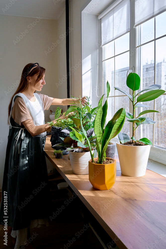 a woman waters the plants inside a woman waters the plants inside