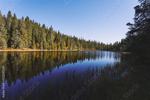 By Mærraputten Lake. Image from a trip to the Svartdalstjerna Lakes, a forest nature reserve of the Totenaasen Hills, Oppland, Norway, at autumn of the year 2022.