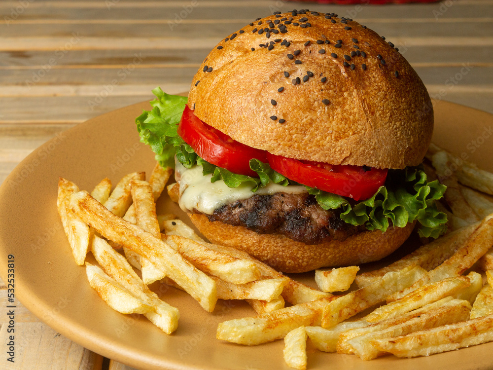burger and fries burger and fries