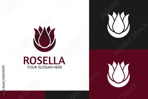 Hand draw vector rosella flowers logo illustration