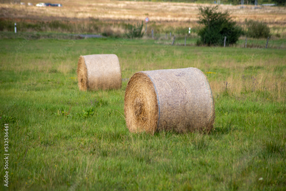 Hay bales on a meadow in September
