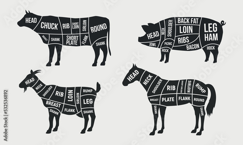 Set of Meat diagrams. Cuts of meat. Beef, Goat, Pork and Horse silhouette. Vintage Posters for groceries, butcher shop, meat store. Vector illustration