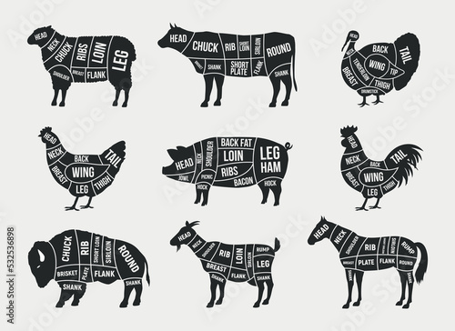 Butcher diagram, scheme set. Mutton, Lamb, Pork, Buffalo, Chicken, Turkey, Horse, Goat meat cuts. Cuts of meat set for butchery, meat shop, restaurant, grocery store. Vector illustration