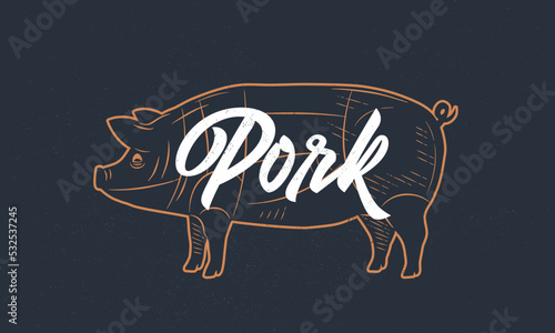 Pig, Pork vintage sketch. Pig silhouette with grunge texture. Vintage poster. Typography. Vector illustration.