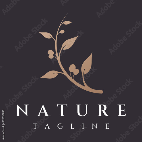 Natural herbal olive and oil logo design with olive branch. Logo for business, branding, herbal medicine and spa.