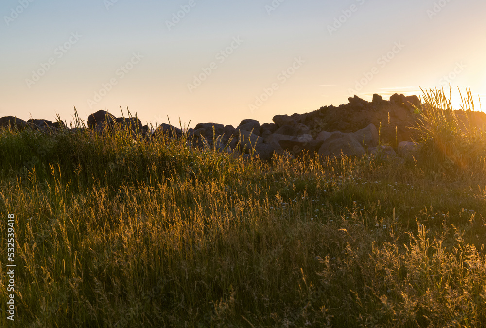 grassland in sunset on the grotta Iceland near reykjavik grassland in sunset on the grotta Iceland near reykjavik