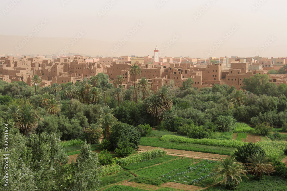The city and valley of Tinerhir in Morocco