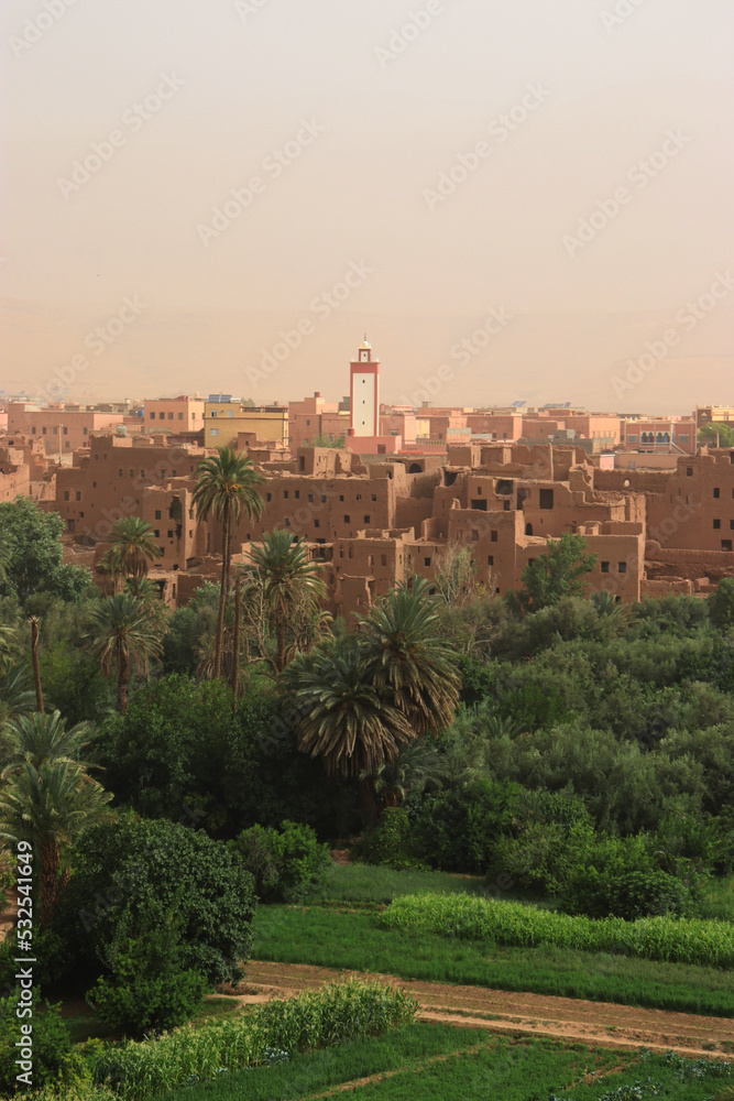 The city and valley of Tinerhir in Morocco