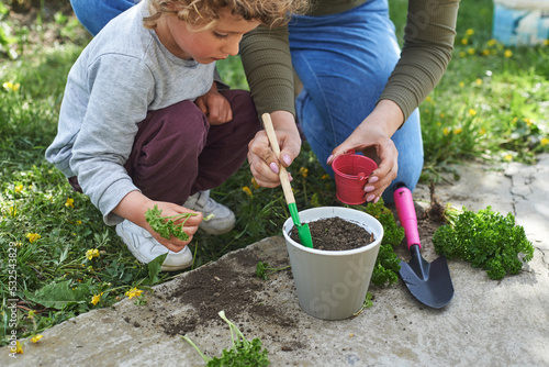 Little girl plants plant in pot