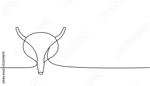 Human bladder one line continuous drawing. Human organ continuous one line illustration. Vector minimalist linear illustration.