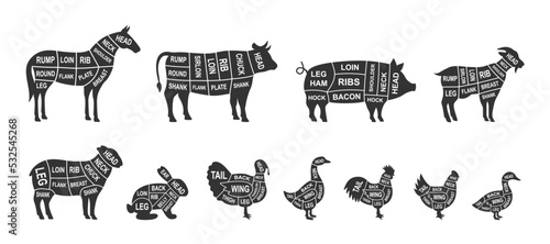 Set of farm animals scheme cuts. Pig, Horse, Turkey, Goat, Sheep, Chicken, Rooster, Duck, Rabbit, Goose, Cow cuts of meats. Meat diagram illustration