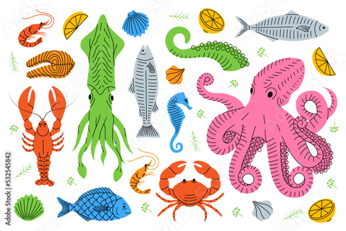 Set of seafood sketch. Sea animal colored line banner. Seafood meal menu illustration. Fishes, lobster, squid, octopus, crab, prawns, fish fillet.