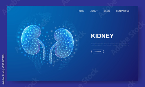 Kidneys 3d low poly website template. Urinary design illustration concept. Polygonal Internal organ symbol for landing page, advertising page.
