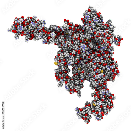 Integrin alpha-4 beta 7 (a4b7, headpiece). Cell surface protein complex that plays a role in directing T lymphocytes to the gut. 3D rendering based on protein data bank entry 3v4v. photo