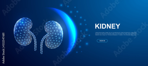 Kidneys 3d polygonal symbol for website template. Low poly Internal organ illustration for promo banner design. Urinary design illustration concept.