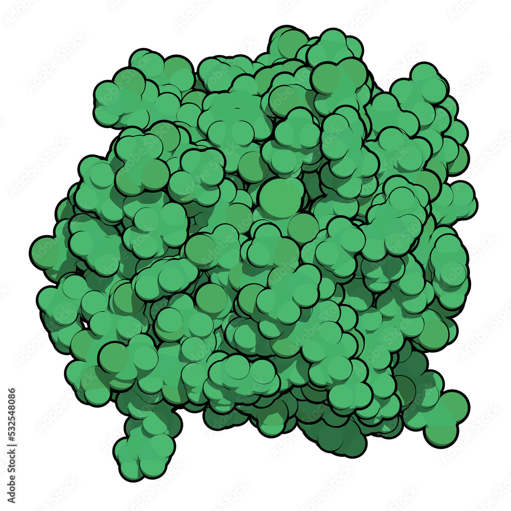Fibroblast growth factor 1 (FGF1, heparin-binding growth factor 1) protein. FGF1 is being investigated for the treatment of diabetes. 3D rendering based on protein data bank entry 3ud7. Fibroblast growth factor 1 (FGF1, heparin-binding growth factor 1) protein. FGF1 is being investigated for the treatment of diabetes. 3D rendering based on protein data bank entry 3ud7.