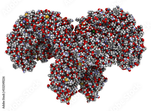 Toll-like receptor 4 (TLR4, extracellular domain) bound to lipopolysaccharide (LPS) and MD-2. Involved in activating the innate immune system upon detecting LPS.