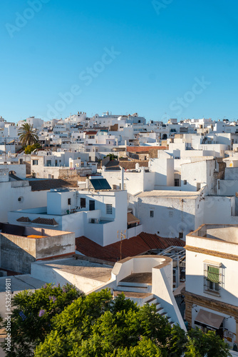 Panoramic view of the town of Conil de la Frontera from the Torre de Guzman, Cadiz. Andalusia