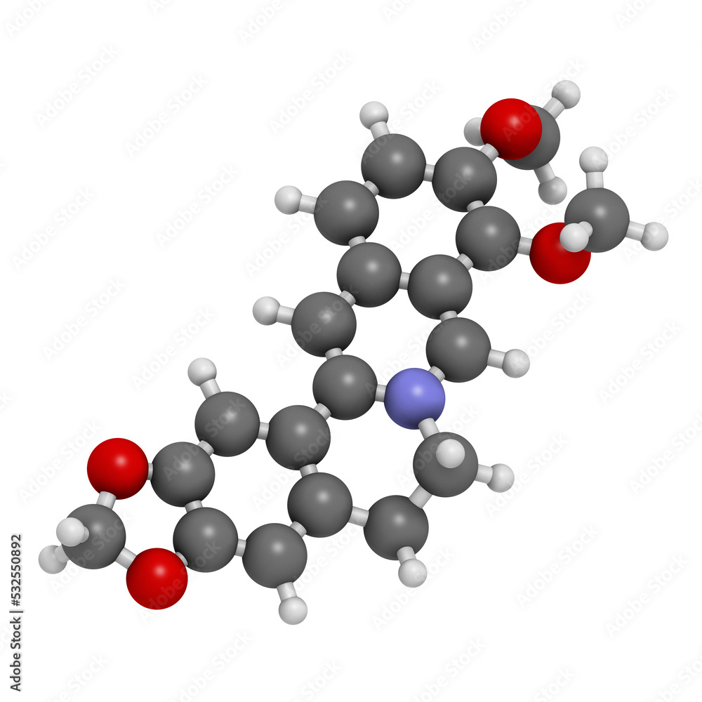 Berberine herbal medicine molecule, 3D rendering. Berberine herbal medicine molecule, 3D rendering.