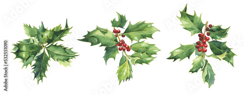 Set of watercolor Christmas holly berries D