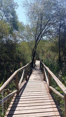 Fototapeta Naklejka Na Ścianę i Meble -  Wooden walkway to visit the interior of the Doñana Natural Park. Huelva