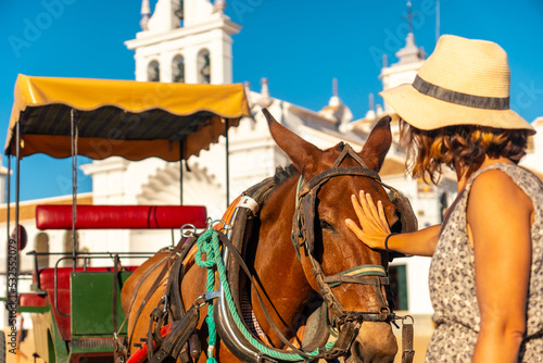 A tourist caressing horses in the El Rocio sanctuary at the Rocio festival, Huelva. Andalusia