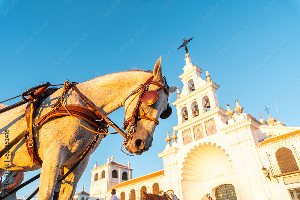 Fototapeta premium A horse next to the white facade in the sunset at the Rocio sanctuary in the Rocio festival, Huelva