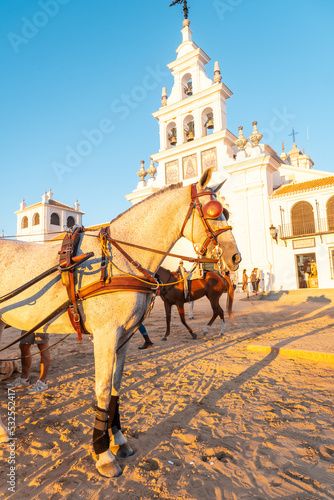 Carriages with horses at sunset in the Rocio sanctuary in the Rocio festival, Huelva