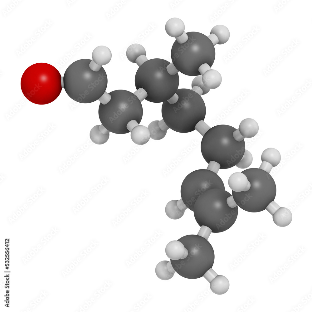 Citronellal citronella oil molecule, 3D rendering. Used in insect repellents. Atoms are represented as spheres with conventional color coding: hydrogen (white), carbon (grey), oxygen (red). Citronellal citronella oil molecule, 3D rendering. Used in insect repellents. Atoms are represented as spheres with conventional color coding: hydrogen (white), carbon (grey), oxygen (red).