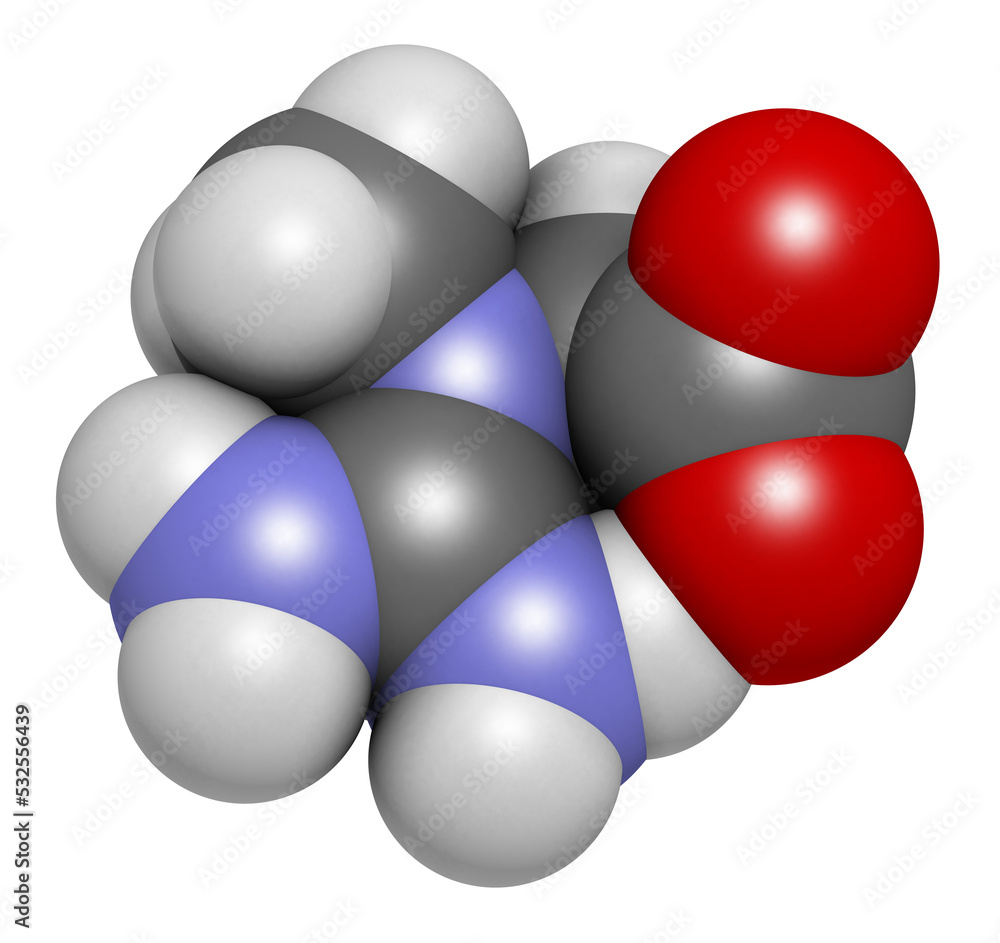 Creatine molecule, 3D rendering. Often used in food supplements. Atoms are represented as spheres with conventional color coding: hydrogen (white), carbon (grey), oxygen (red), nitrogen (blue). Creatine molecule, 3D rendering. Often used in food supplements. Atoms are represented as spheres with conventional color coding: hydrogen (white), carbon (grey), oxygen (red), nitrogen (blue).
