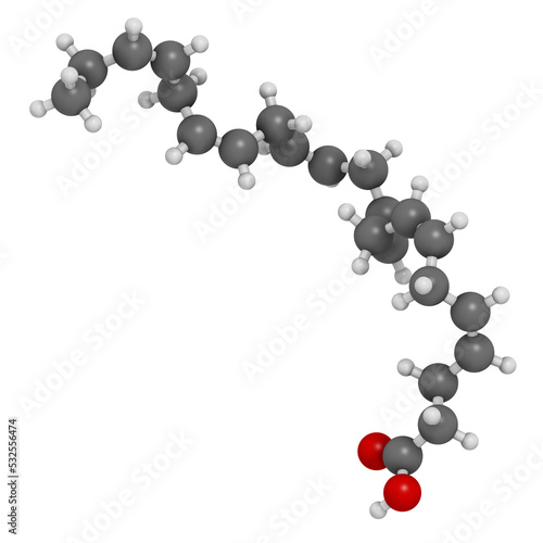 Docosahexaenoic acid (DHA, cervonic acid) molecule, 3D rendering. Polyunsaturated omega-3 fatty acid present in fish oil.  photo