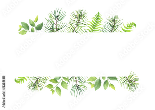 Greenery frame with pine  fern and wild herbs. Vector illustration.