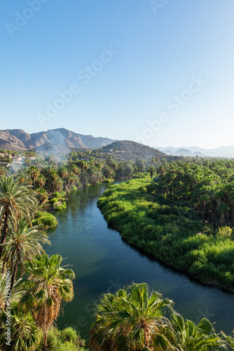 Wallpaper Mural Green oasis with a river and palm trees in Mexico Torontodigital.ca