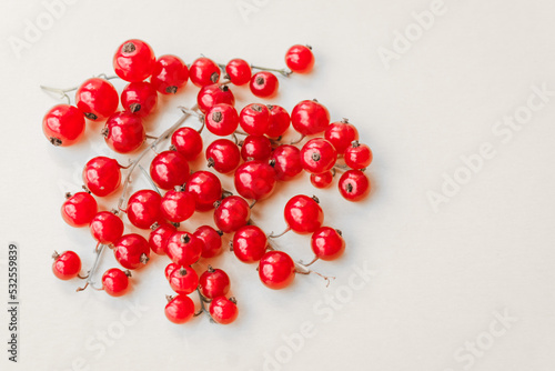 Sprigs of red currant on white background. Fresh bright currant. Sweet juicy currant, organic healthy berries - farming, harvesting and food concept.