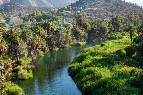 Green oasis with a river and palm trees in Baja Mexico photo