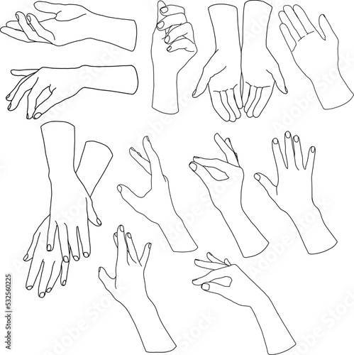 Vector linear set of black hands poses. Hand painted abstract fingers shapes isolated on white background. Minimalistic linear illustration for design, print, fabric or background.