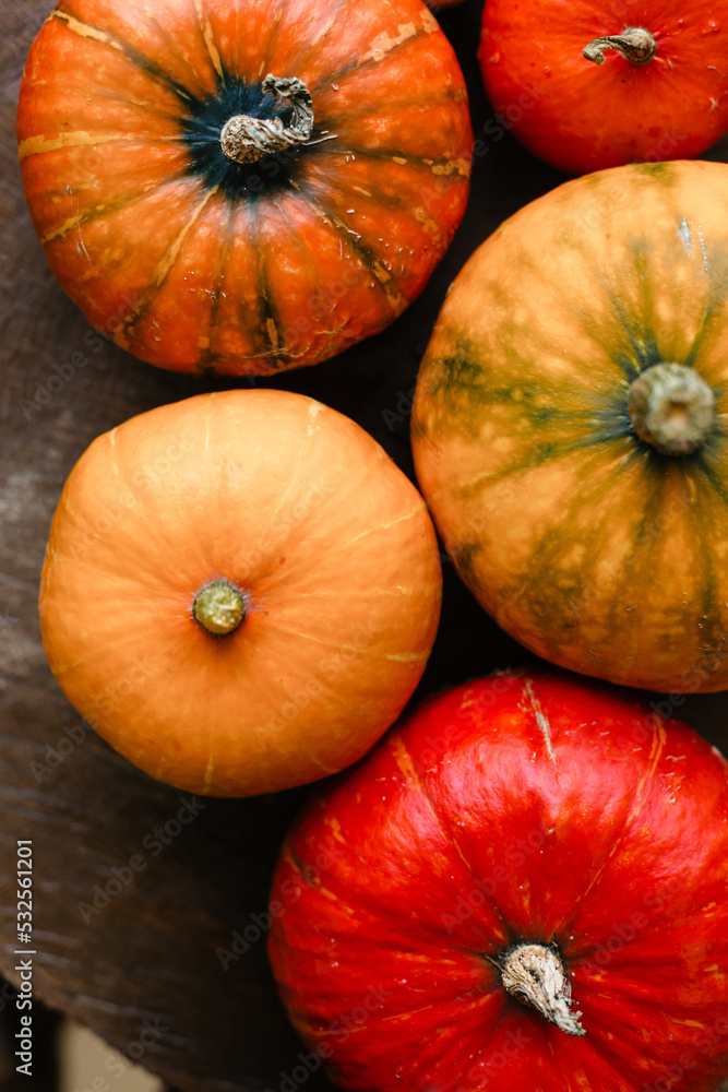 Beautiful pumpkins of different colors view from above. Texture of yellow and orange pumpkins Beautiful pumpkins of different colors view from above. Texture of yellow and orange pumpkins