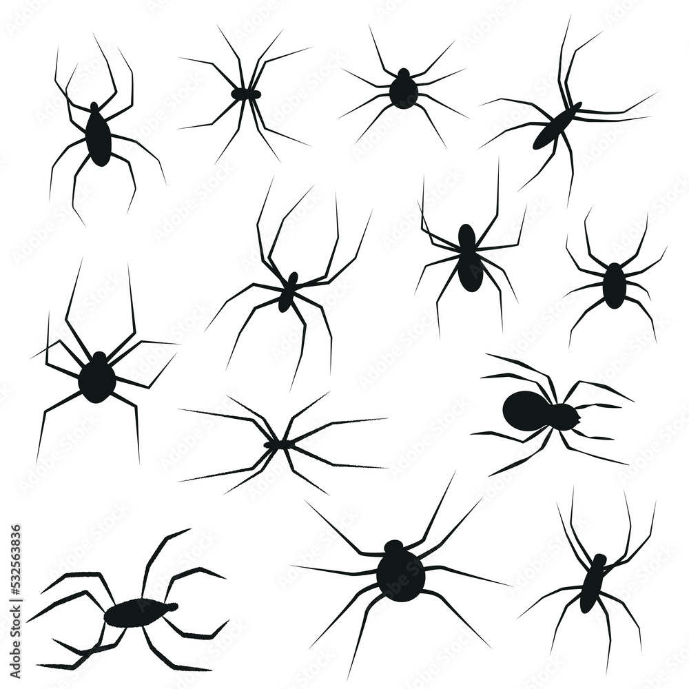 Set of black silhouette spider icon isolated on white background. Top view Set of black silhouette spider icon isolated on white background. Top view