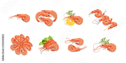 Fototapeta Naklejka Na Ścianę i Meble -  Set of tasty boiled shrimps on white background