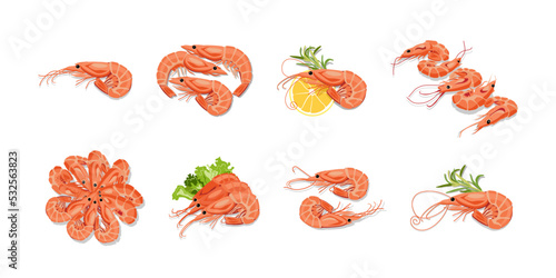 Set of tasty boiled shrimps on white background
