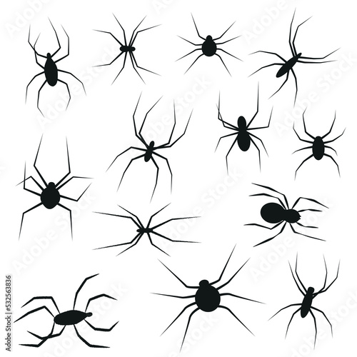 Set of black silhouette spider icon isolated on white background. Top view © Алексей Еремеев