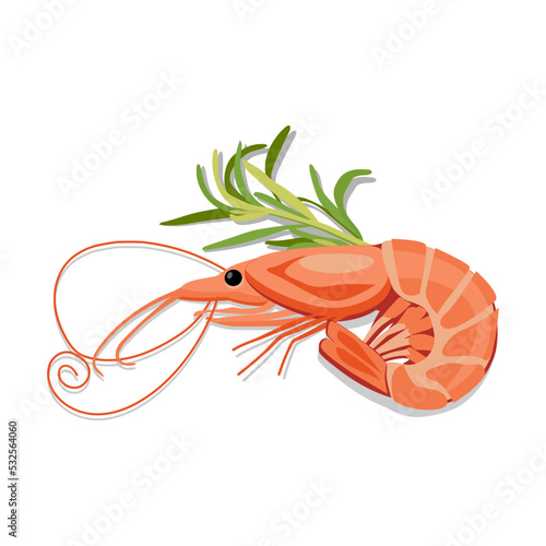 Tasty boiled shrimp and rosemary on white background