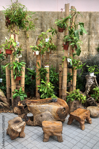 Pitcher Plant Display in Hong Kong Park. photo