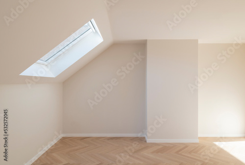 skylight in attic photo