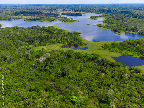 Green amazonian landscape, only forest and water